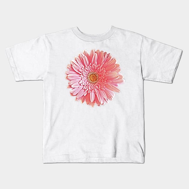 Pink Gerbera Daisy Kids T-Shirt by mariakeady